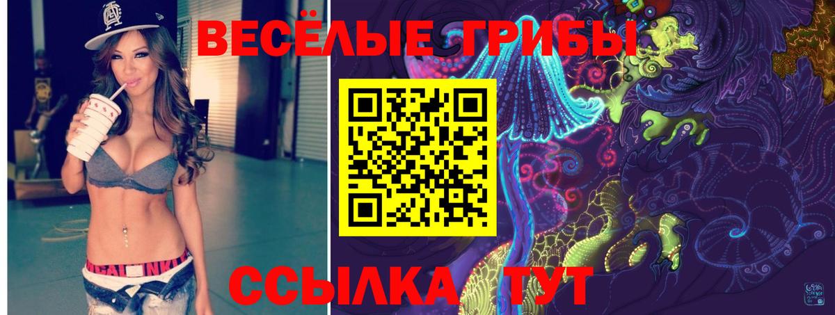 Псилоцибиновые грибы Psilocybe  Галлюциногенные грибы Cubensis  Гай  Вход с VPN 